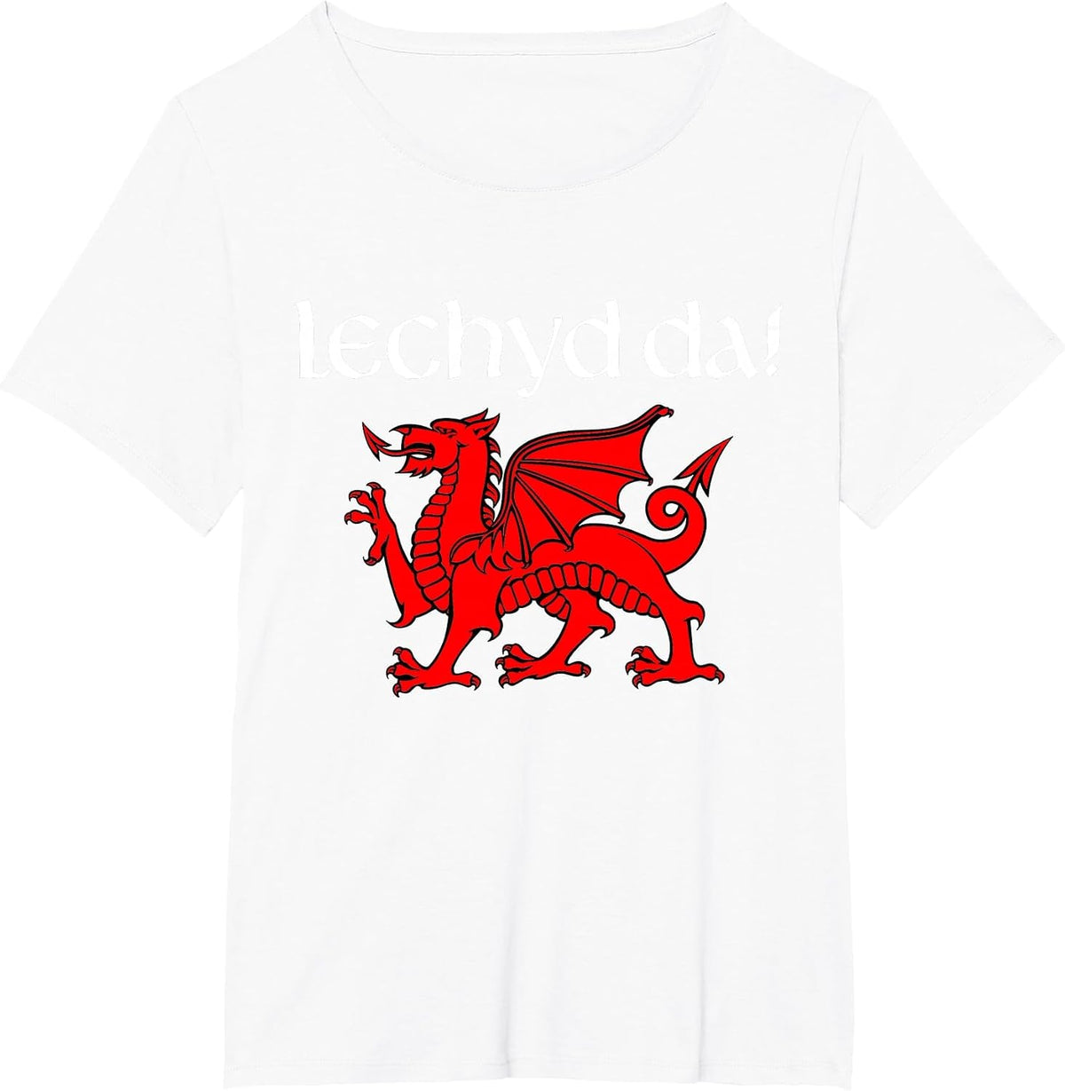 Cheers in Welsh Dragon Shirt Lechyd Da Drinking Souvenir T-Shirt - White