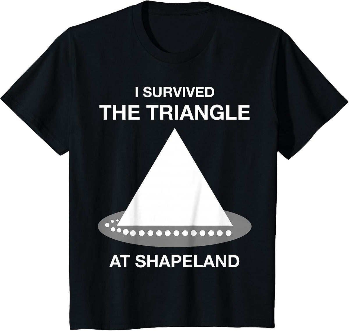 Funny I Survived the Triangle at Shapeland Math Teacher T-Shirt - Black