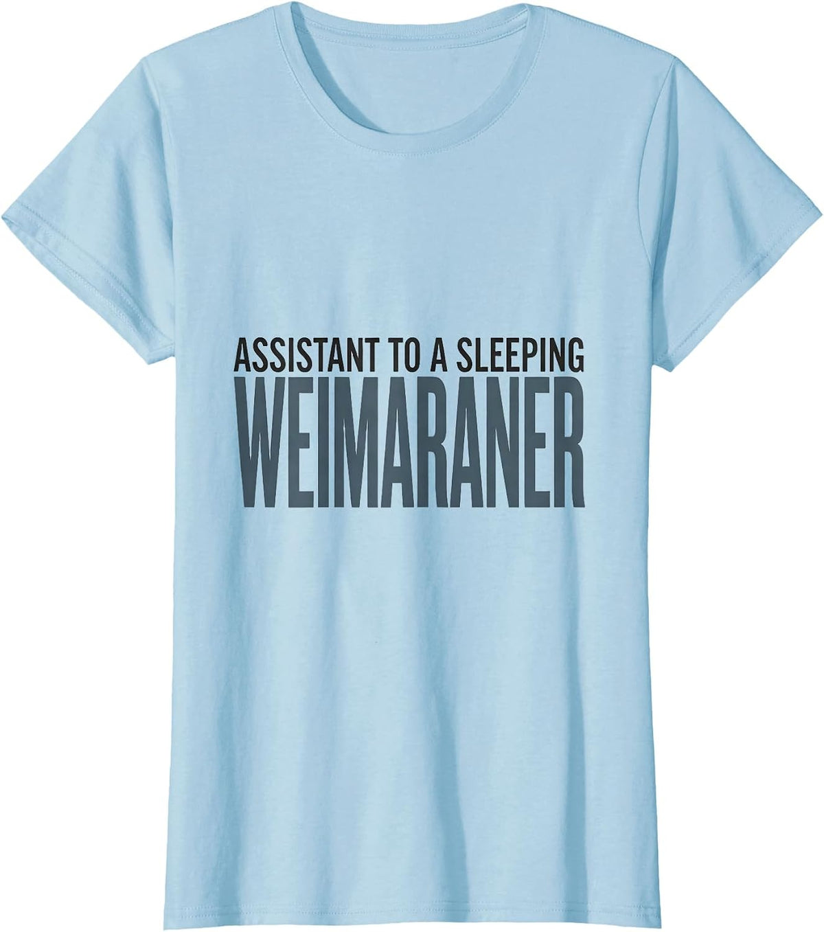 Assistant To A Sleeping Weimaraner Minimalist Dog Lover Gift T-Shirt - Baby Blue