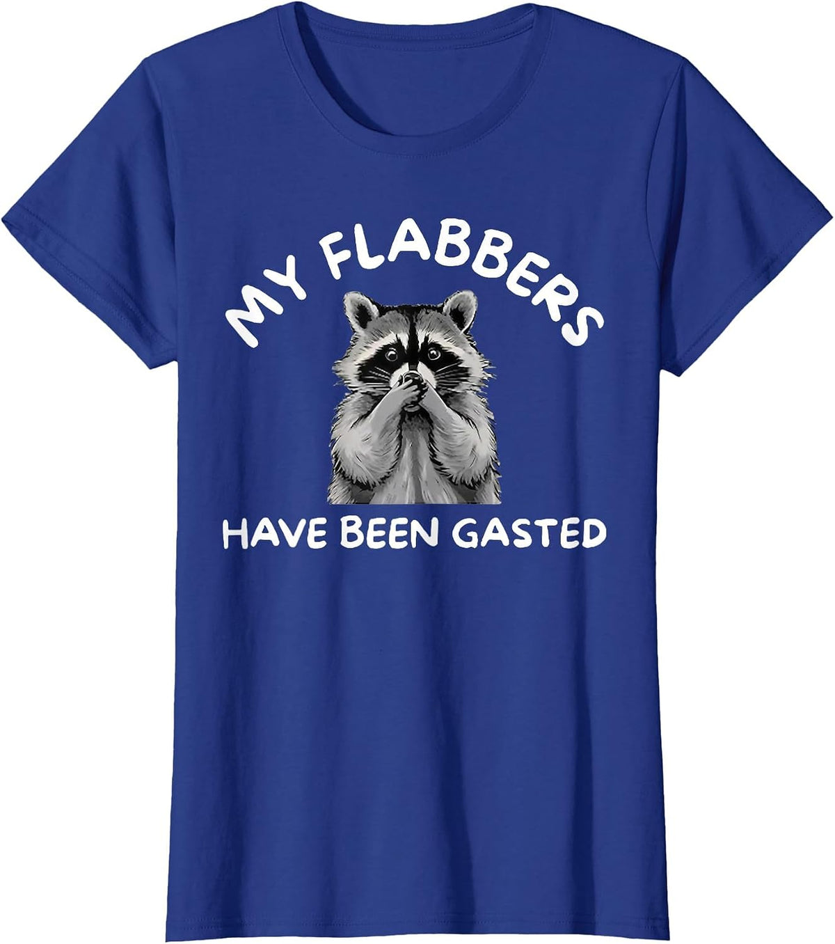 Raccoon My Flabbers Have Been Gasted T-Shirt - Royal Blue