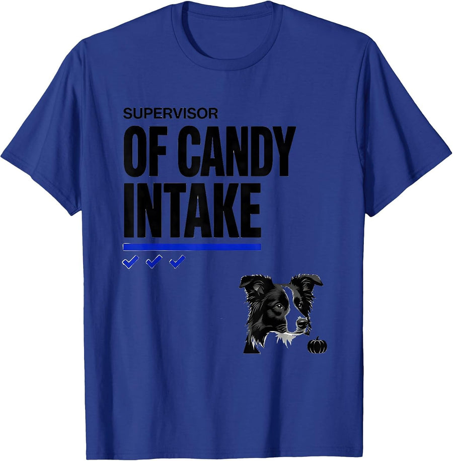 Supervisor Of Candy Intake Funny Dog Owner Halloween Costume T-Shirt - Royal Blue