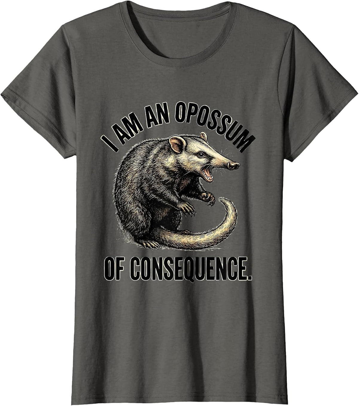 Women's I Am An Opossum Of Consequence Funny Opossum Trash Panda T-Shirt - Asphalt Grey