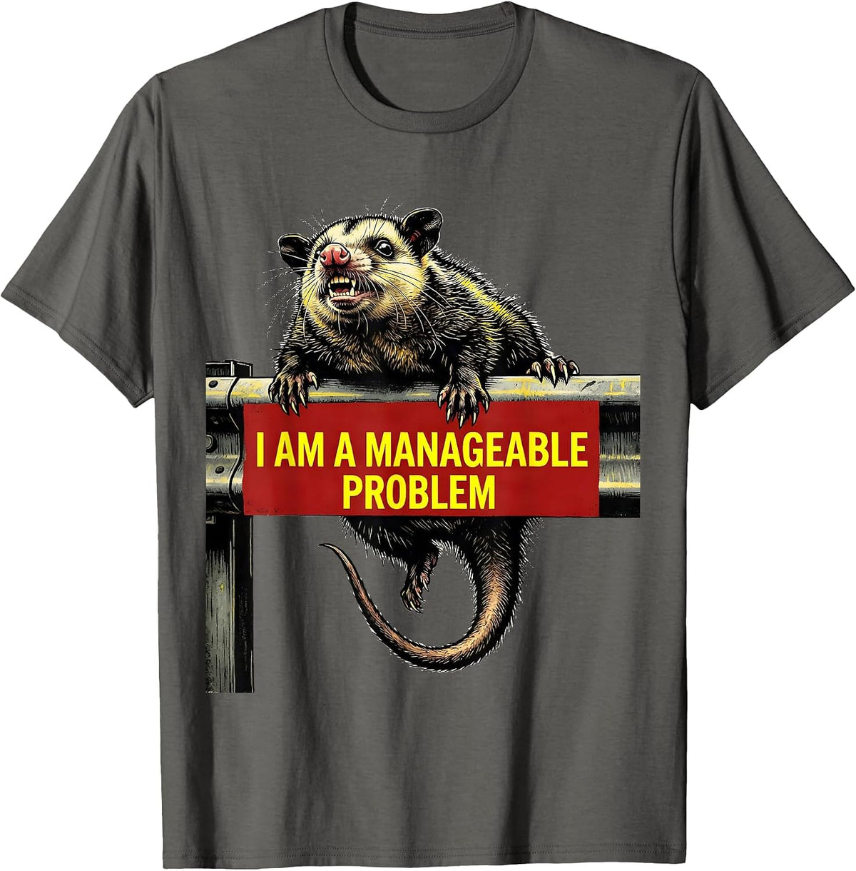 Men's I Am A Manageable Problem Funny Opossum Meme Possum Lover T-Shirt - Asphalt Grey