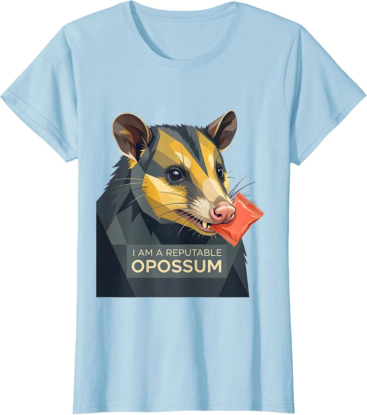 I Am A Reputable Opossum Funny Opossum Lover Meme Humor T-Shirt - Baby Blue
