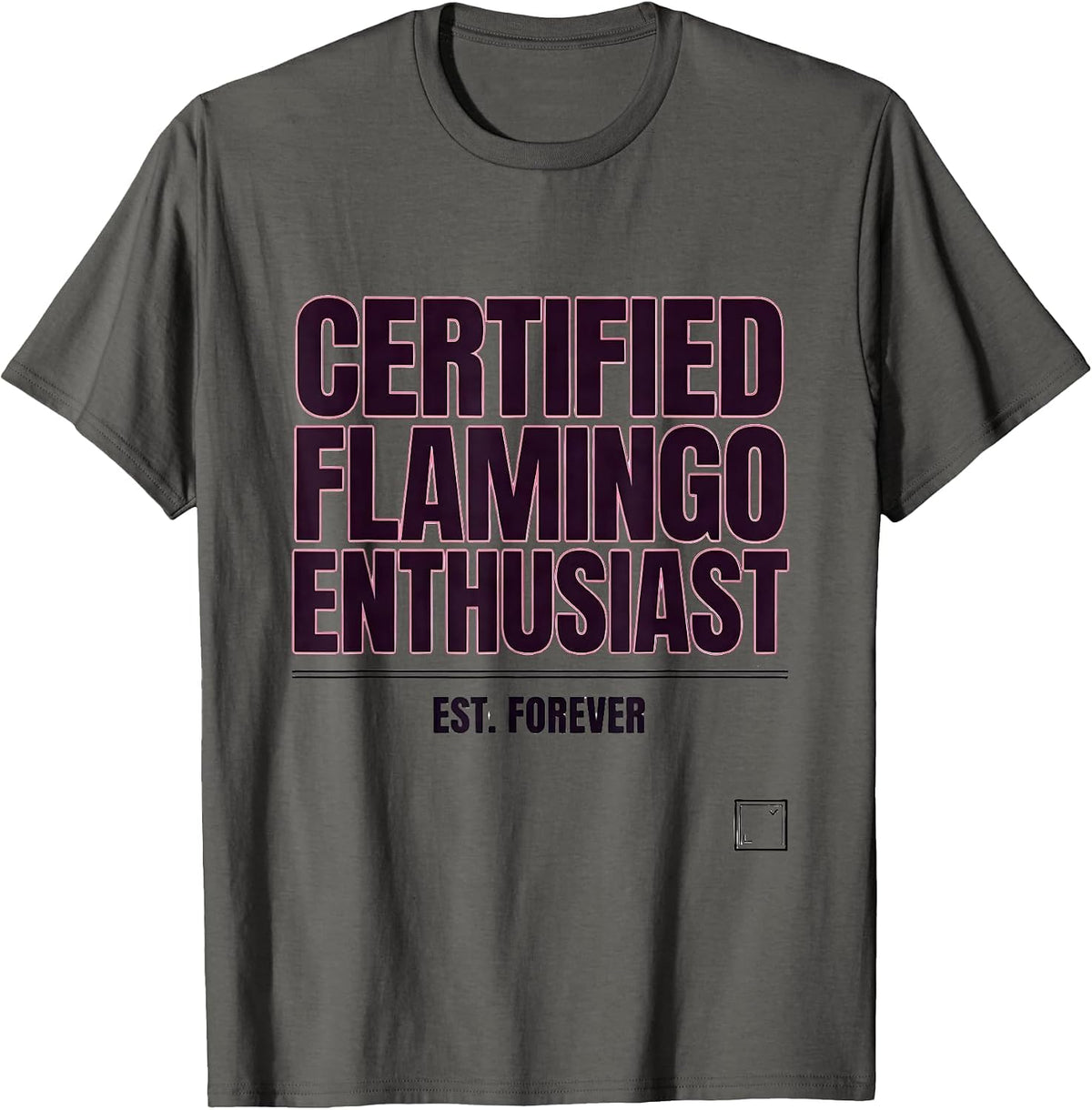 Men's Certified Flamingo Enthusiast, Est. Forever Funny T-Shirt - Asphalt Grey