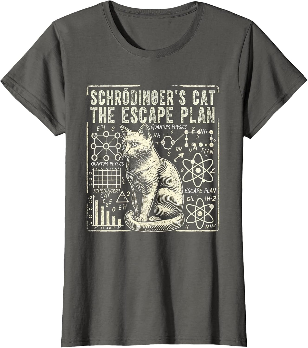 Schrodingers Cat Escape Plan, Funny Quantum Physics Science T-Shirt - Asphalt Grey