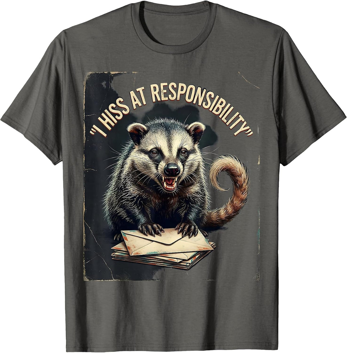 I Hiss At Responsibility Funny Opossum Possum Meme Deadpan T-Shirt - Asphalt Grey