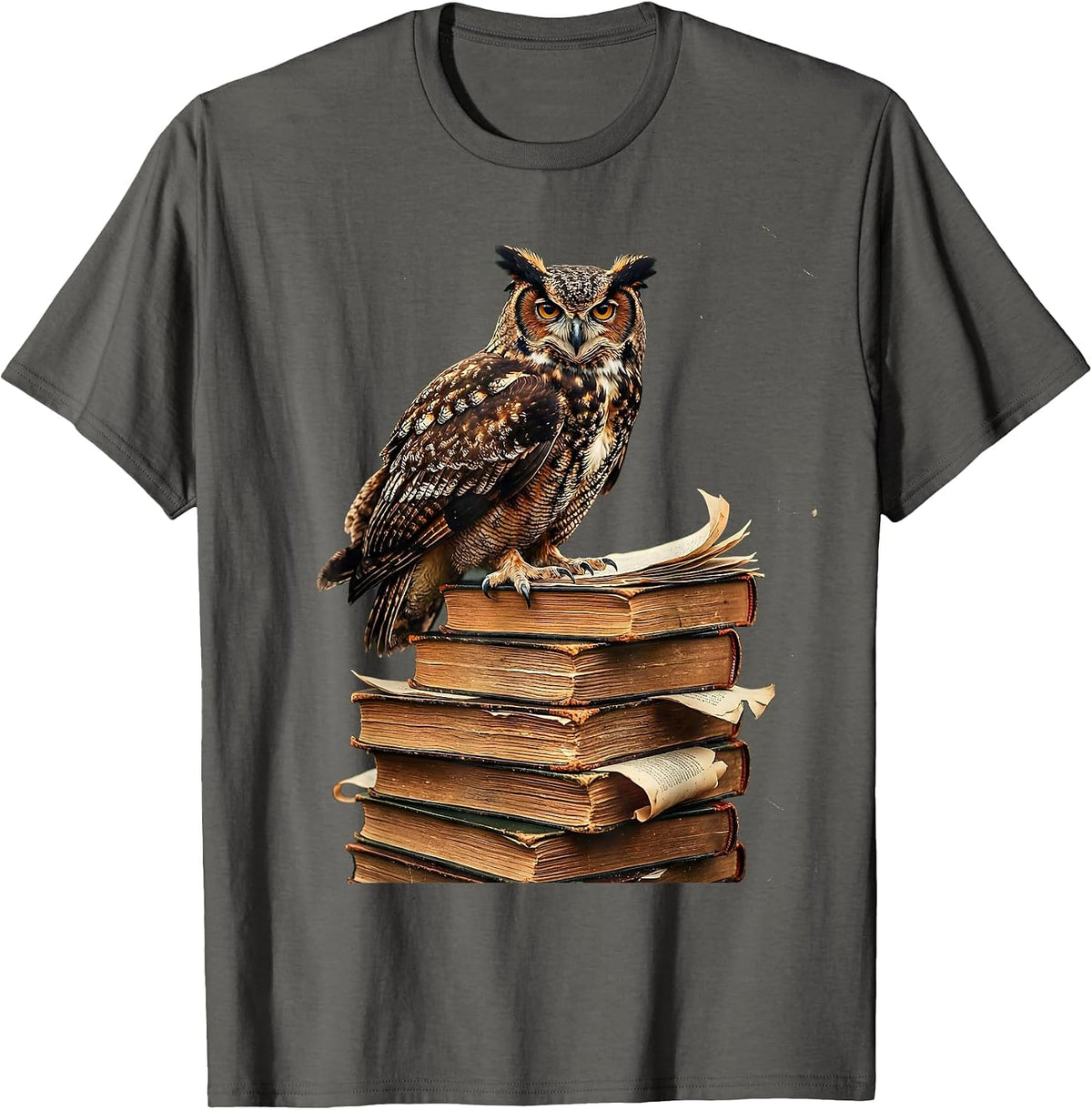 Owl on Textbooks College Graphic T-Shirt - Asphalt Grey