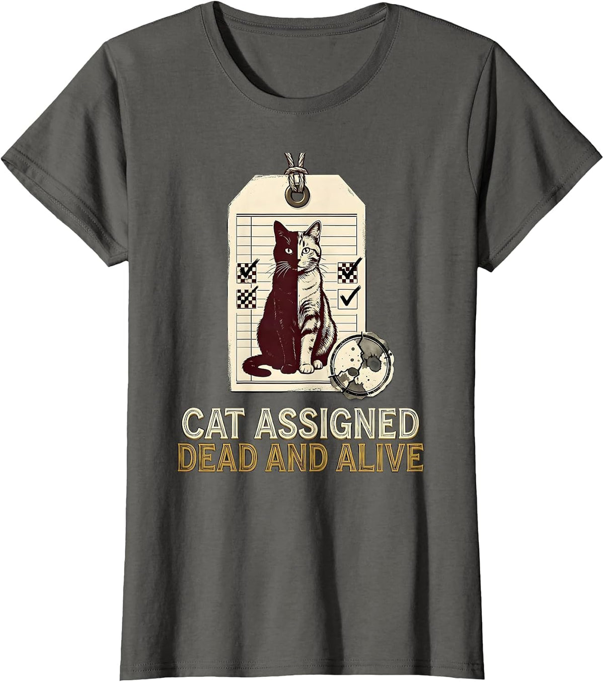 Women's Cat Assigned Dead And Alive Funny Science Quantum Physics T-Shirt - Asphalt Grey
