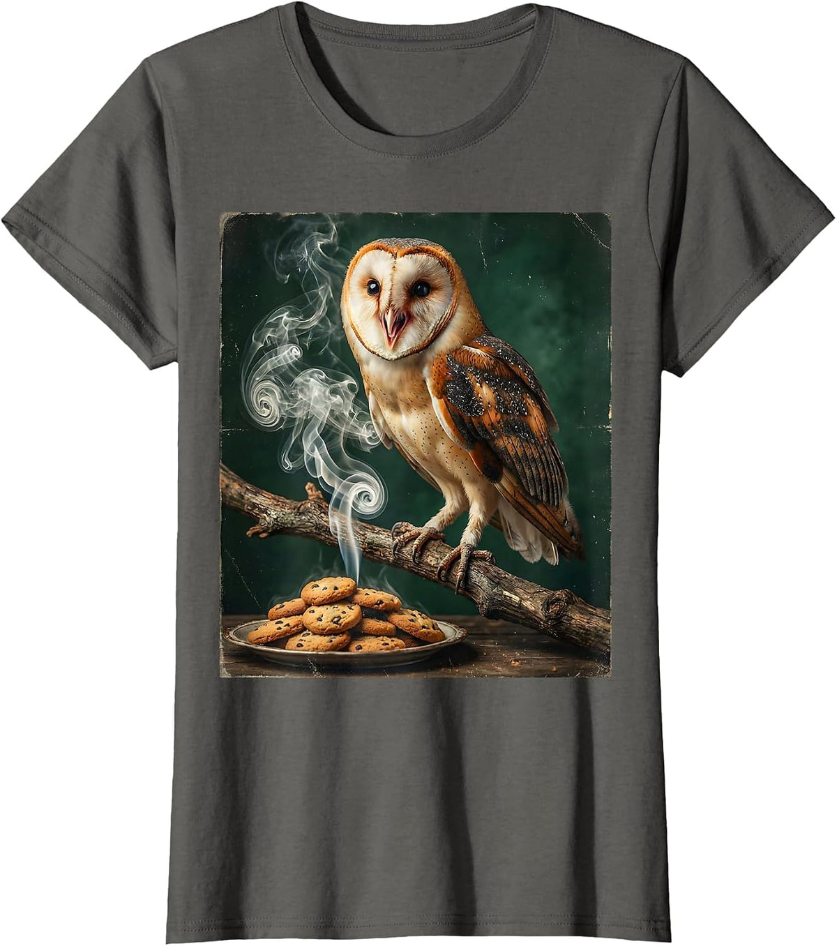 Women's Owl Sniffing Cookie Smoke Funny Halloween Graphic T-Shirt - Asphalt Grey