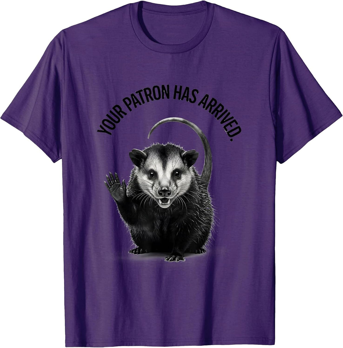 Your Patron Has Arrived Minimalist Opossum Deadpan Humor T-Shirt - Purple