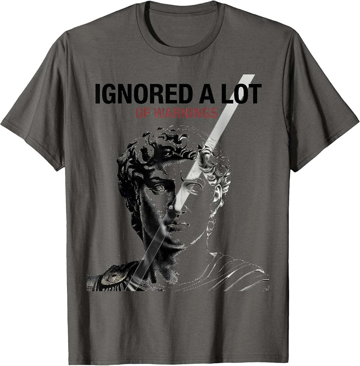Men's Ignored A Lot Of Warnings Funny History Teacher Deadpan T-Shirt - Asphalt Grey