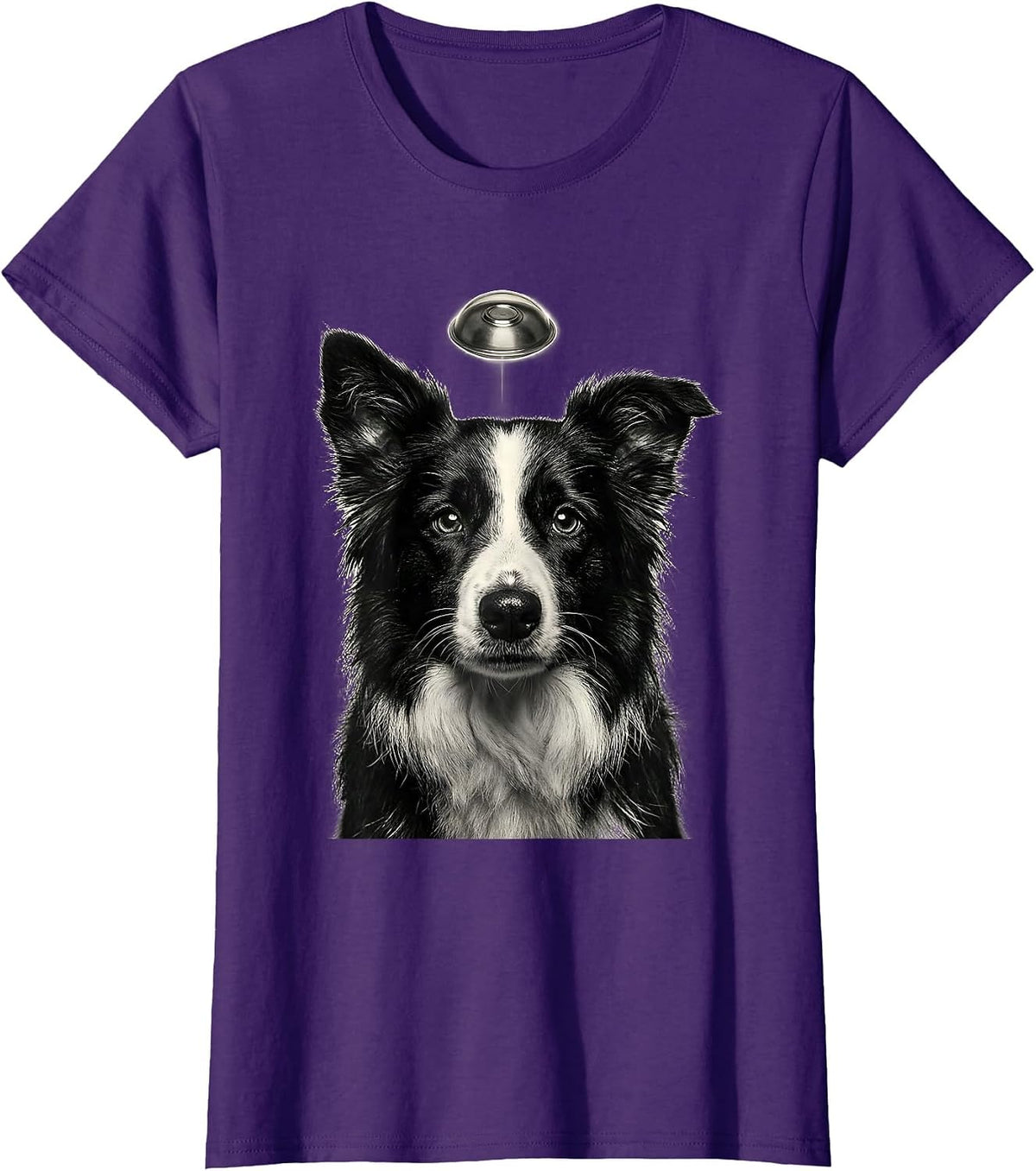 Women's Border Collie UFO Abduction Funny Dog Breed Meme T-Shirt - Purple