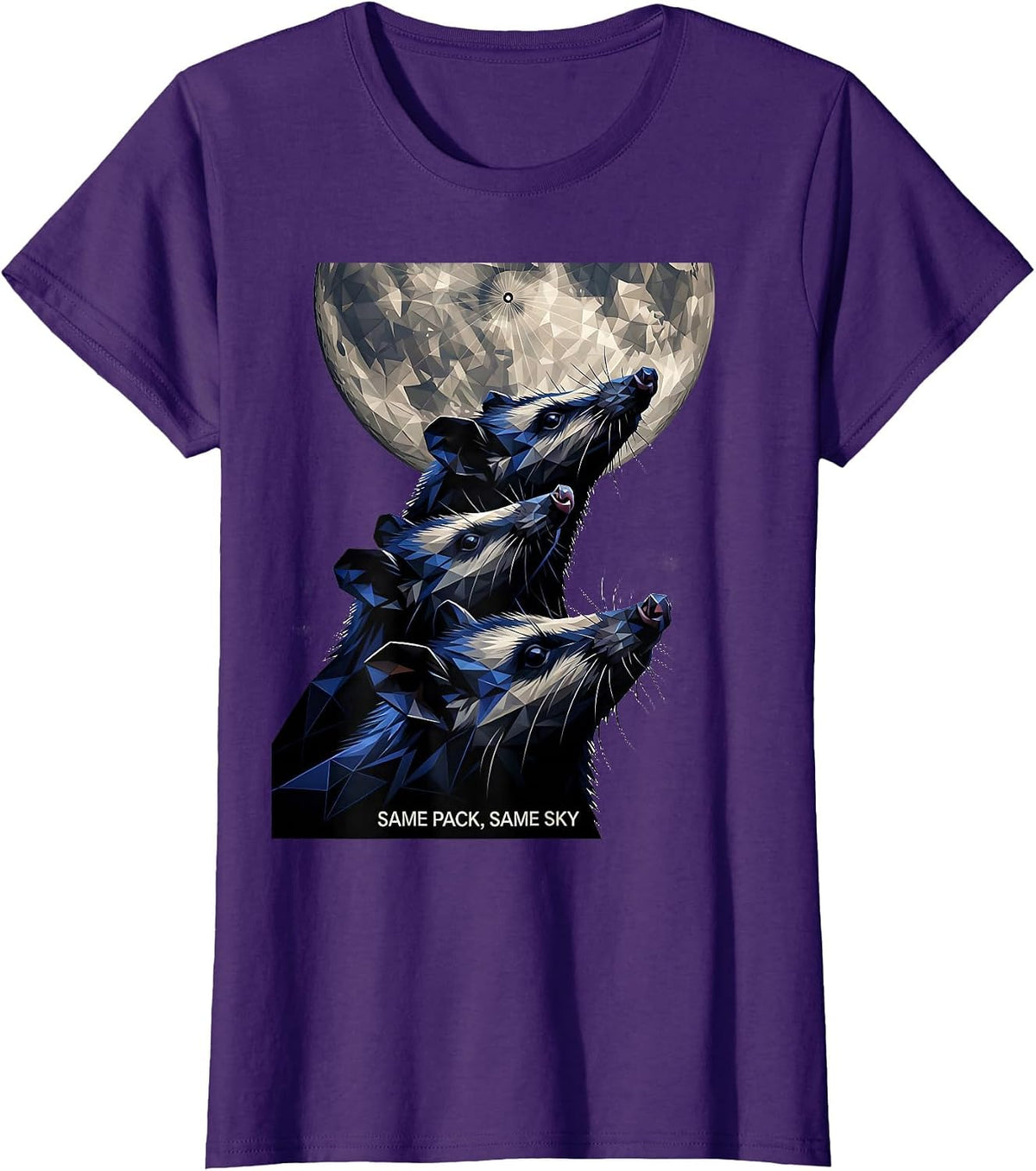 Women's Same Pack, Same Sky Geometric Opossum Wildlife Lover Meme T-Shirt - Purple