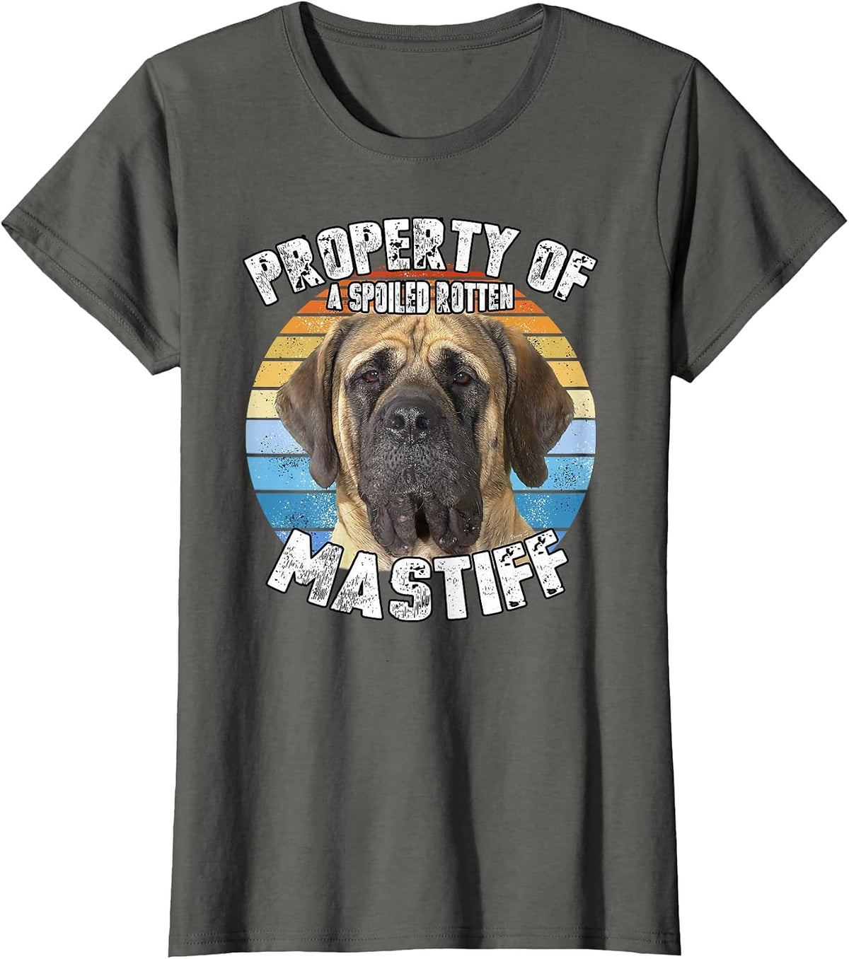 Mastiff Retro Property of T-Shirt - Asphalt Grey