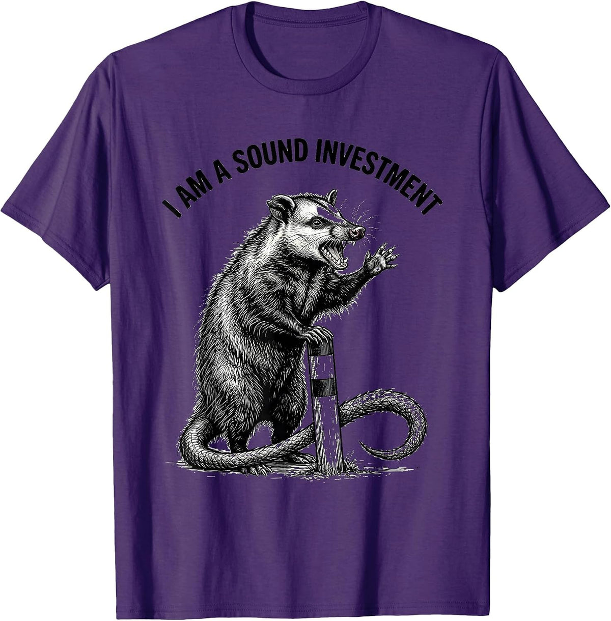 I Am A Sound Investment Funny Opossum Meme Possum Lover T-Shirt - Purple
