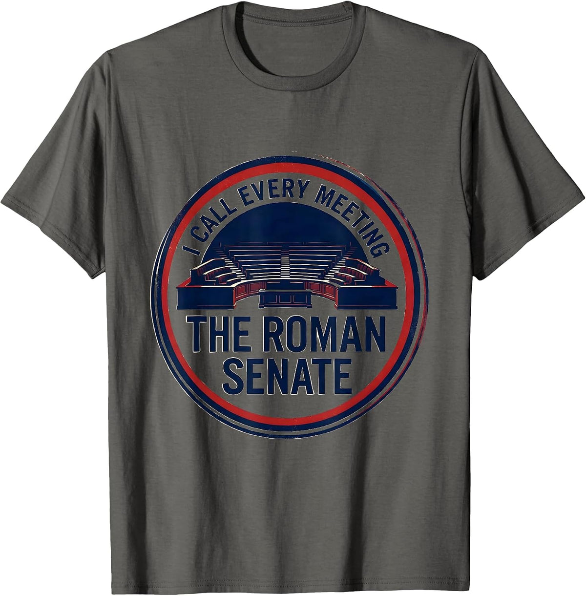 I Call Every Meeting The Roman Senate Funny History Teacher T-Shirt - Asphalt Grey