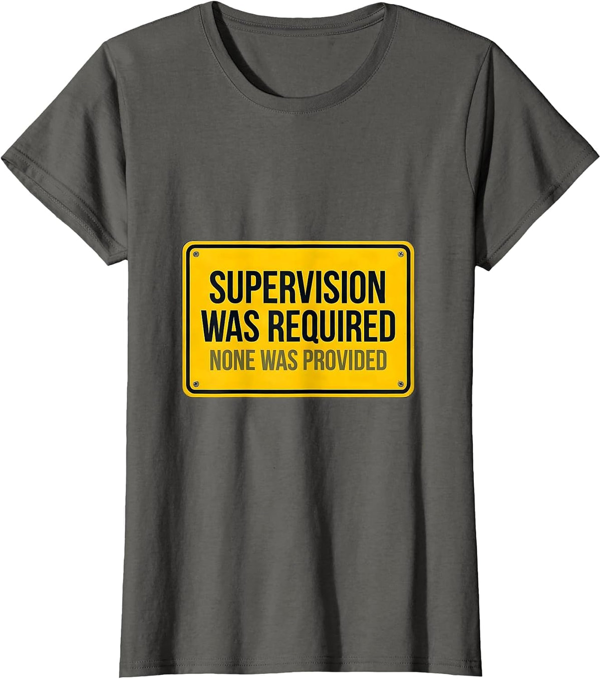 Women's Supervision Was Required. None Was Provided. Funny T-Shirt - Asphalt Grey