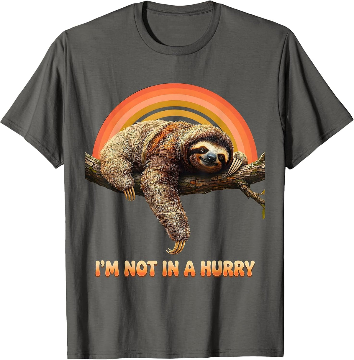 I'm Not In A Hurry Retro 70s Funny Sloth Lover Lazy Humor T-Shirt - Asphalt Grey