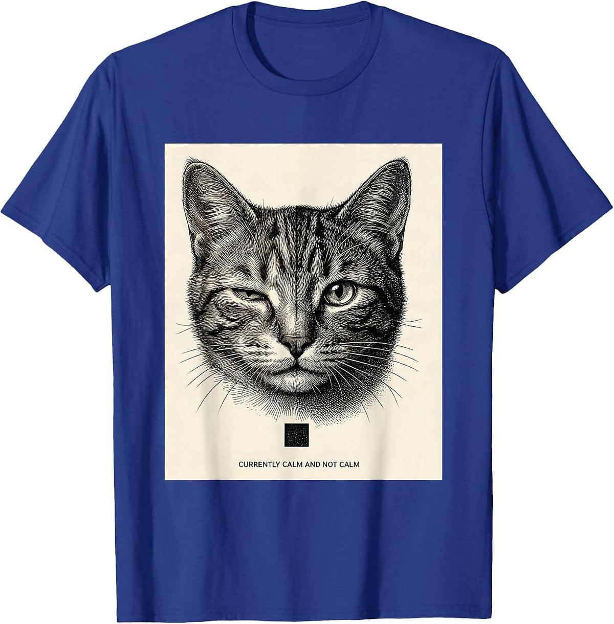 Men's Currently Calm And Not Calm Quantum Physics Humor Science T-Shirt - Royal Blue