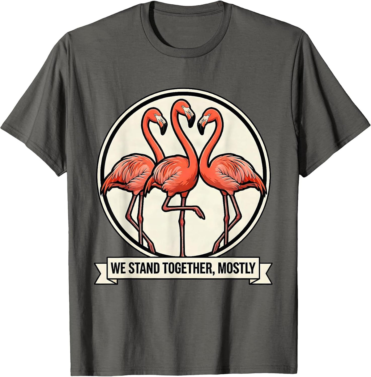 We Stand Together, Mostly Funny Flamingo Humor Novelty Gift T-Shirt - Asphalt Grey
