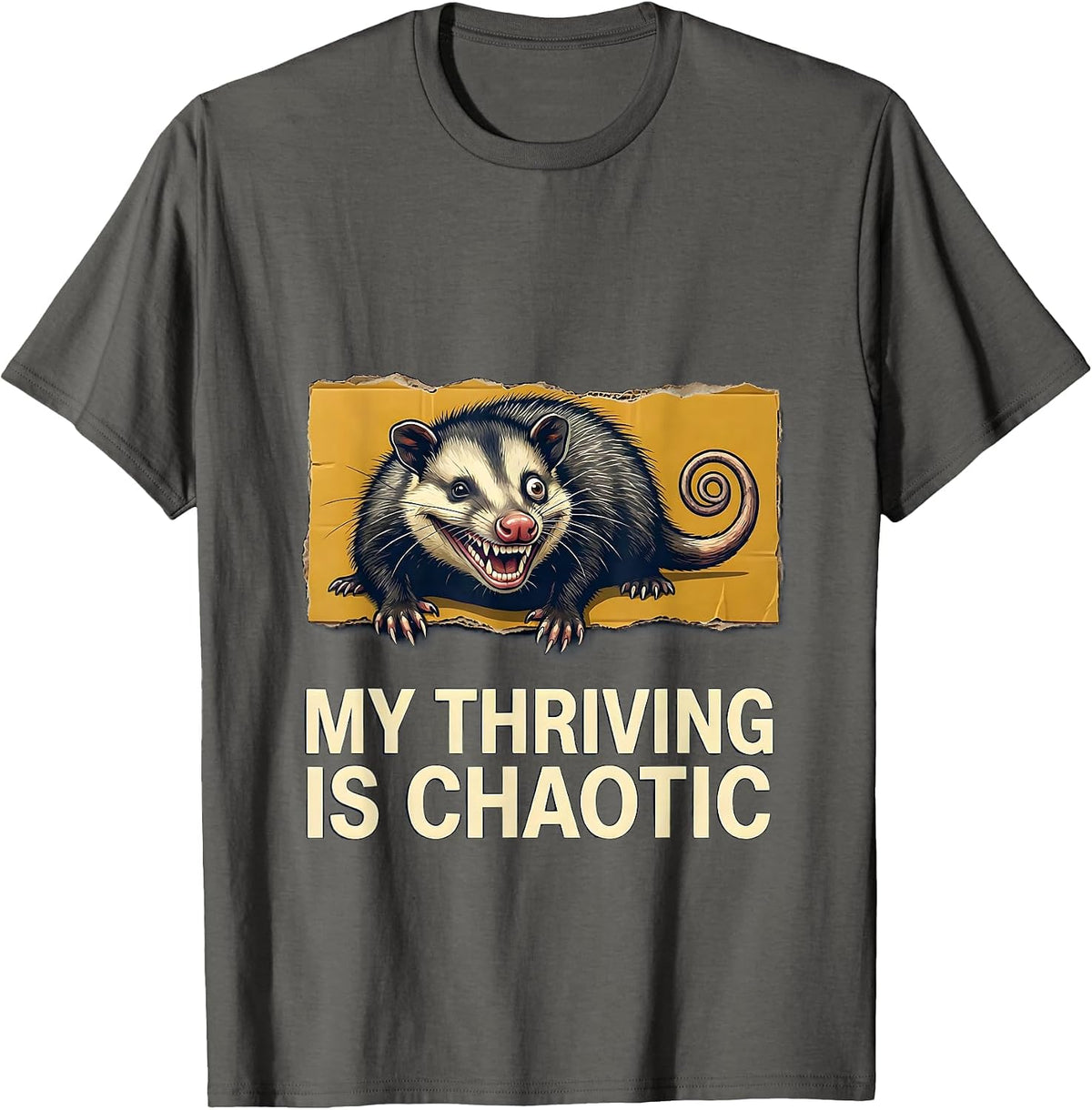 My Thriving Is Chaotic Funny Opossum Meme Chaos T-Shirt - Asphalt Grey