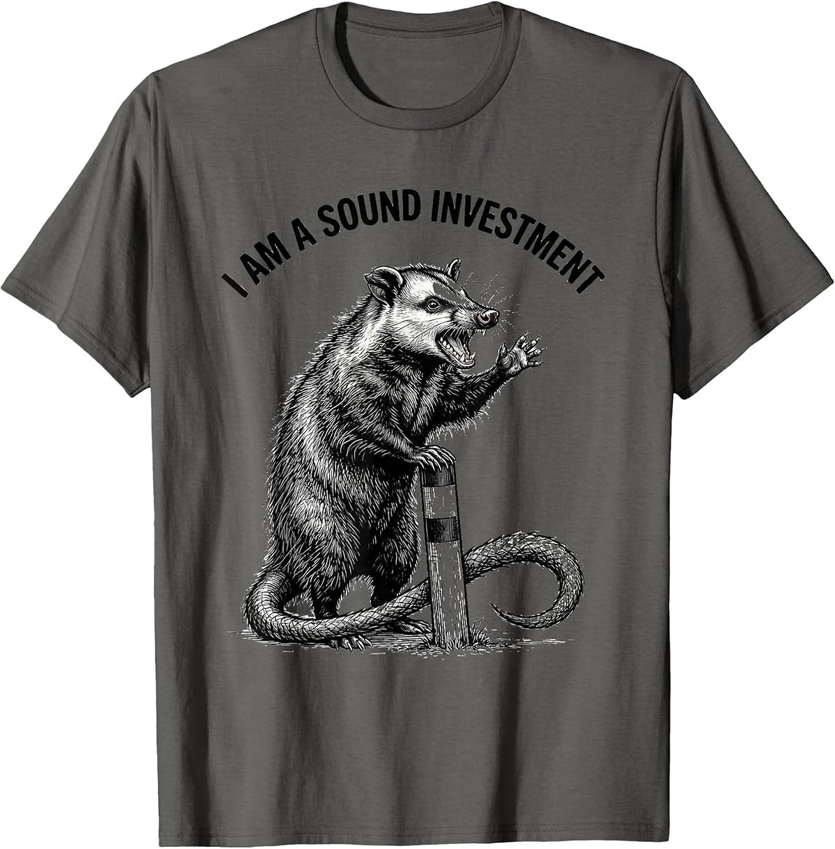 I Am A Sound Investment Funny Opossum Meme Possum Lover T-Shirt - Asphalt Grey