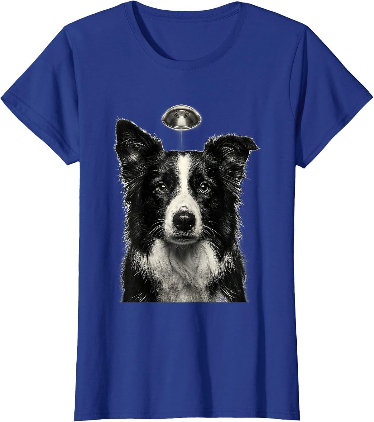 Women's Border Collie UFO Abduction Funny Dog Breed Meme T-Shirt - Royal Blue