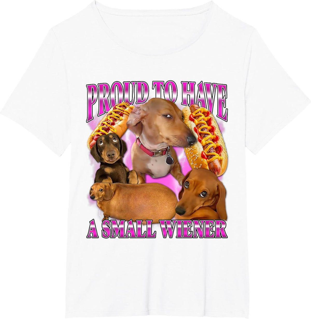Proud to Have A Small Wiener Funny Offensive Dachshund Dog T-Shirt - White