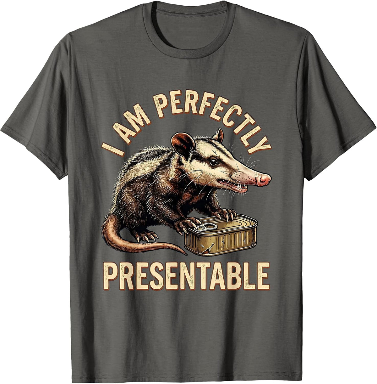 I Am Perfectly Presentable Vintage Funny Opossum Trash-Panda T-Shirt - Asphalt Grey