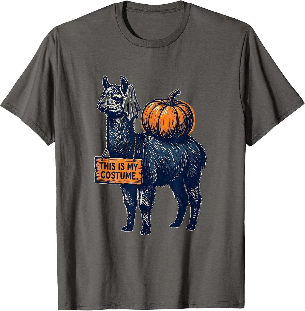 Men's This Is My Costume Funny Llama Halloween Novelty Humor T-Shirt - Asphalt Grey