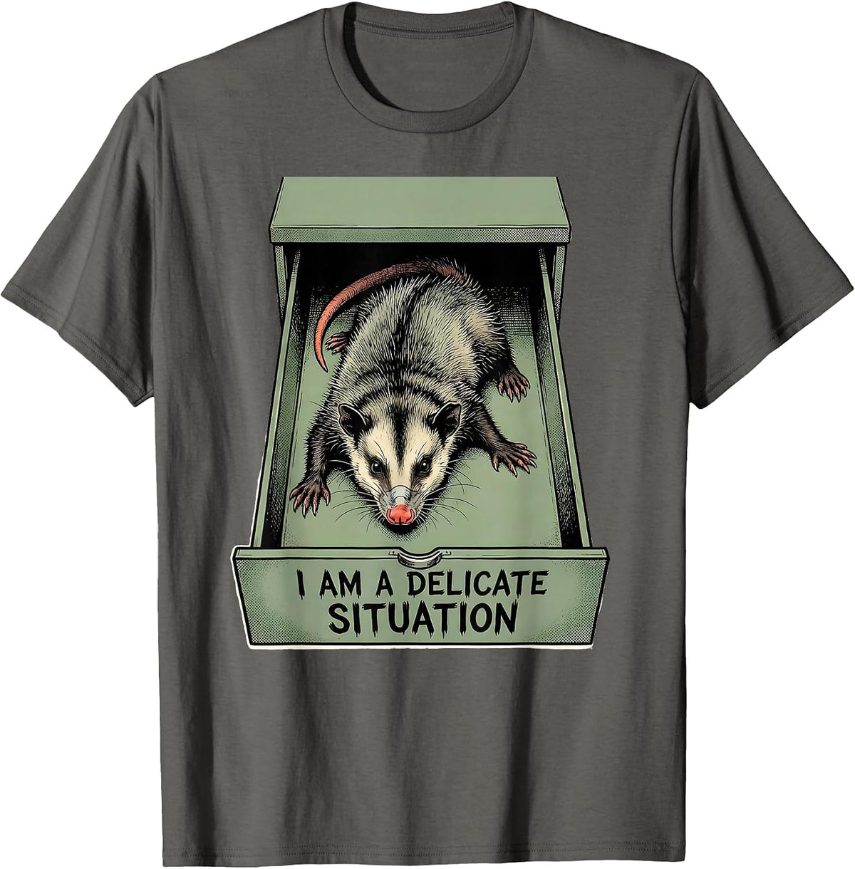 I Am A Delicate Situation Funny Opossum Meme Possum Lover T-Shirt - Asphalt Grey