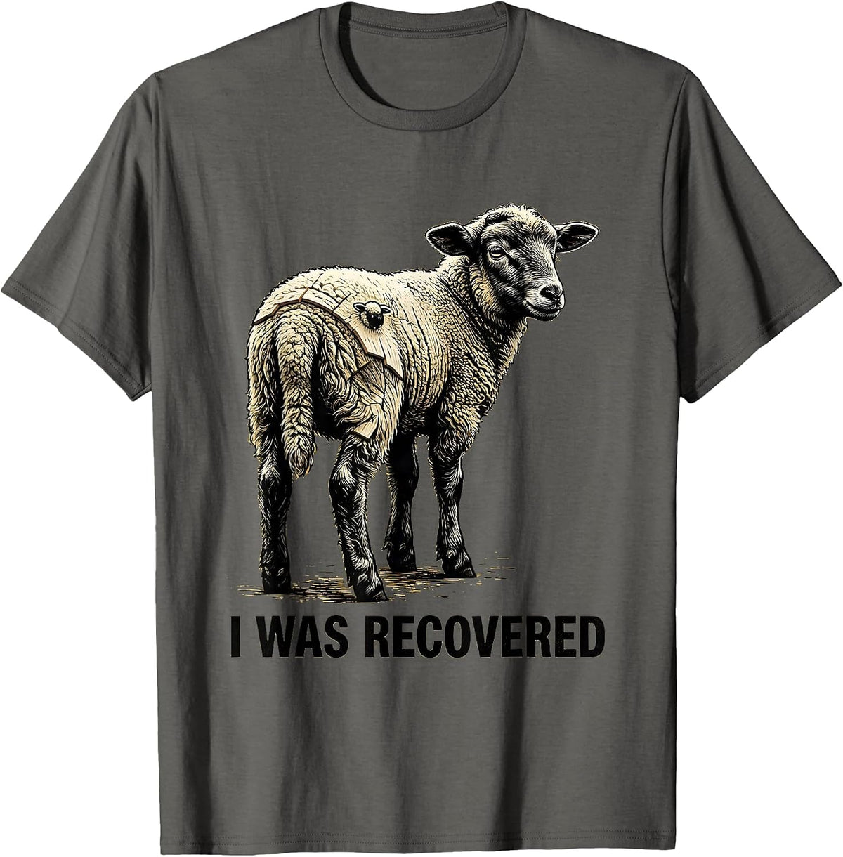 I Was Recovered Faith Psalm 23 Lost Sheep Minimalist T-Shirt - Asphalt Grey