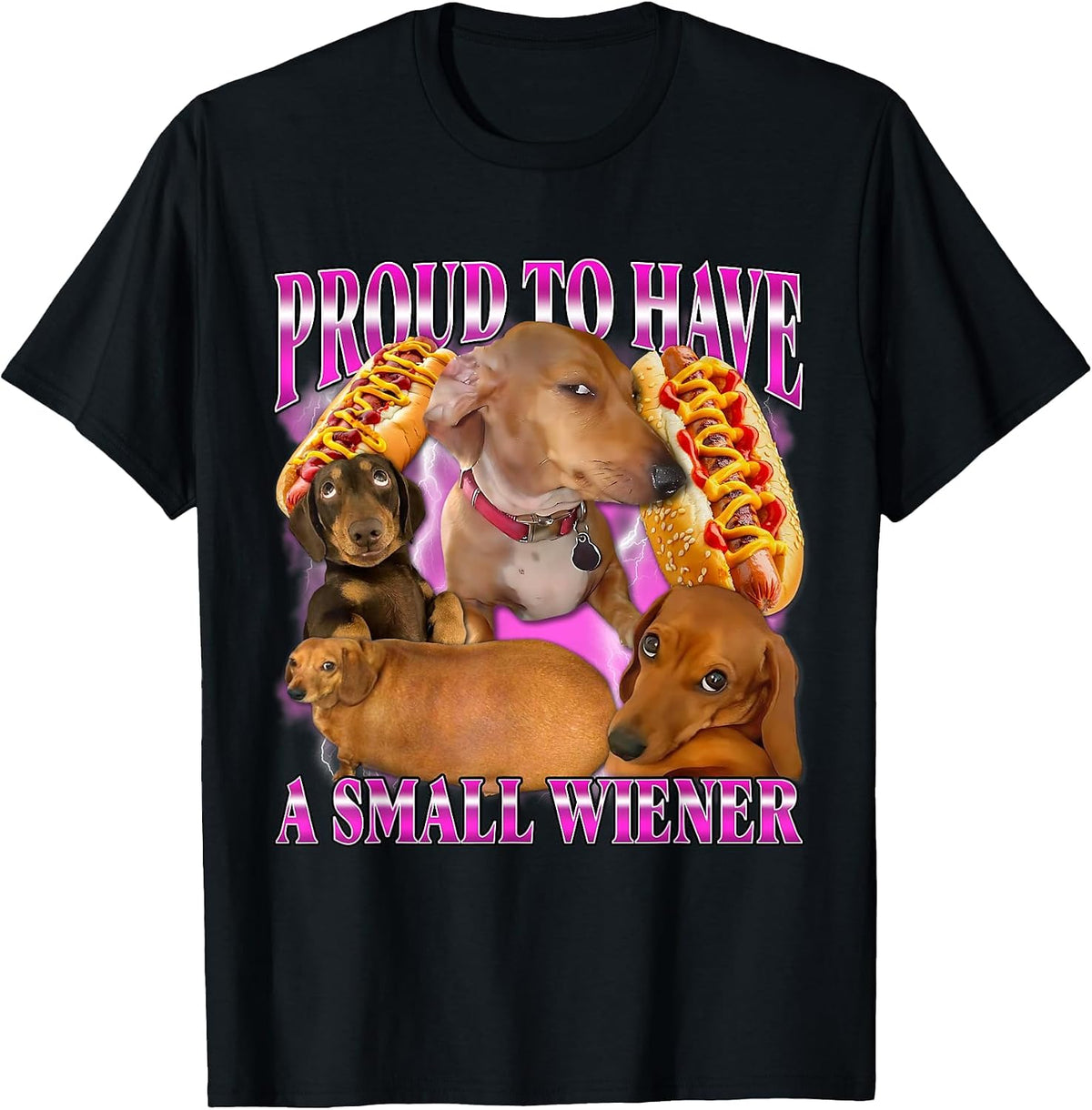 Proud to Have A Small Wiener Funny Offensive Dachshund Dog T-Shirt - Black
