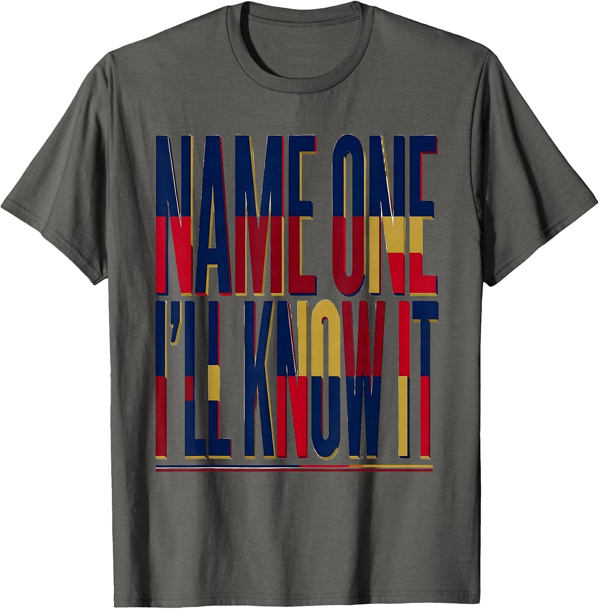 Name One, I'll Know It Geography Lover World Flags T-Shirt - Asphalt Grey