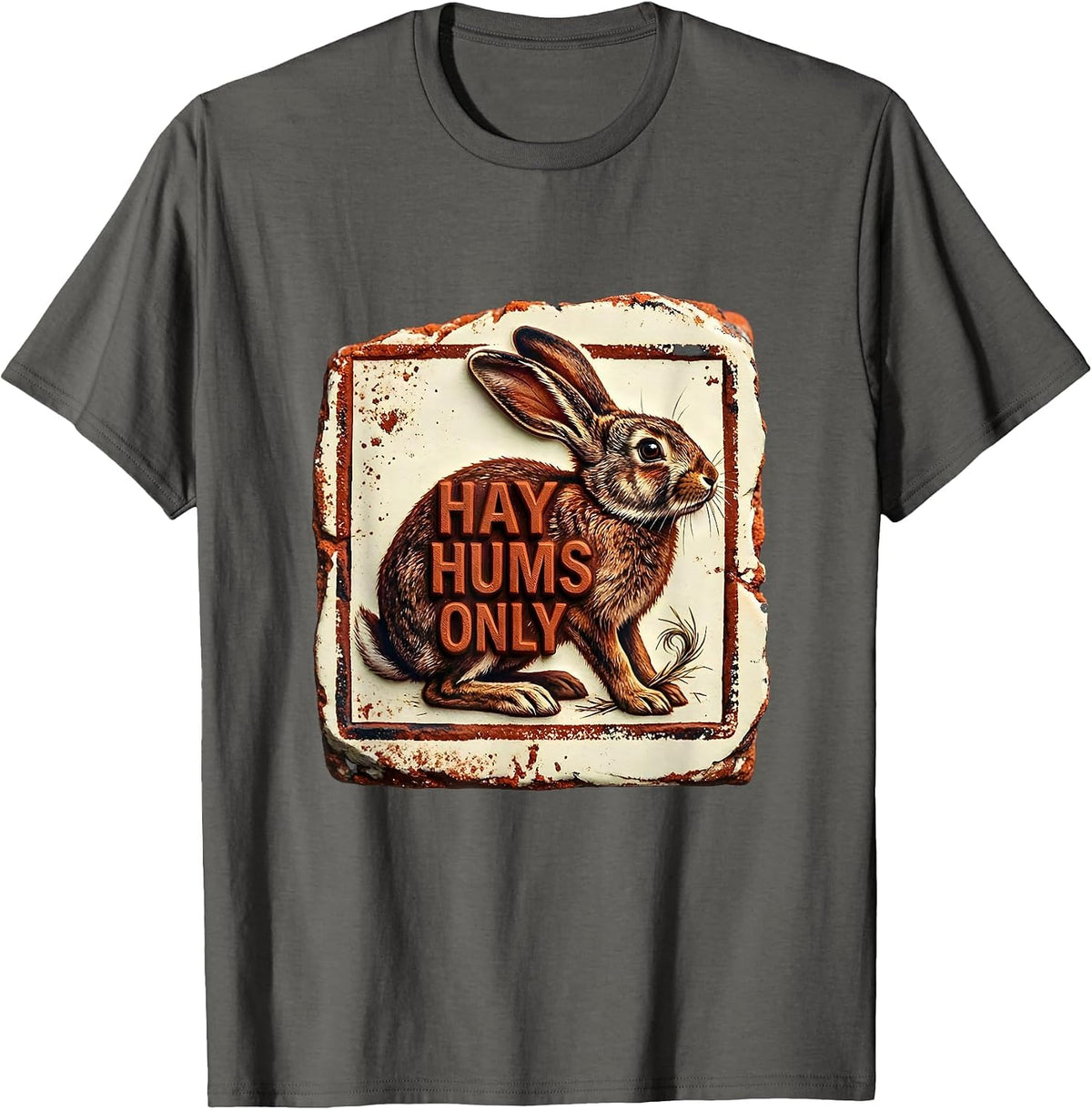 Hay Hums Only Alt Goth Cute Bunny Rabbit Lover T-Shirt - Asphalt Grey