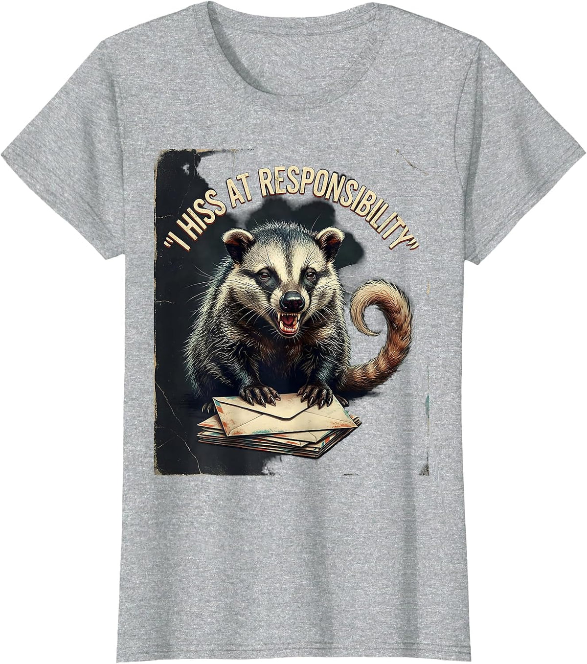 I Hiss At Responsibility Funny Opossum Possum Meme Deadpan T-Shirt - Heather Grey