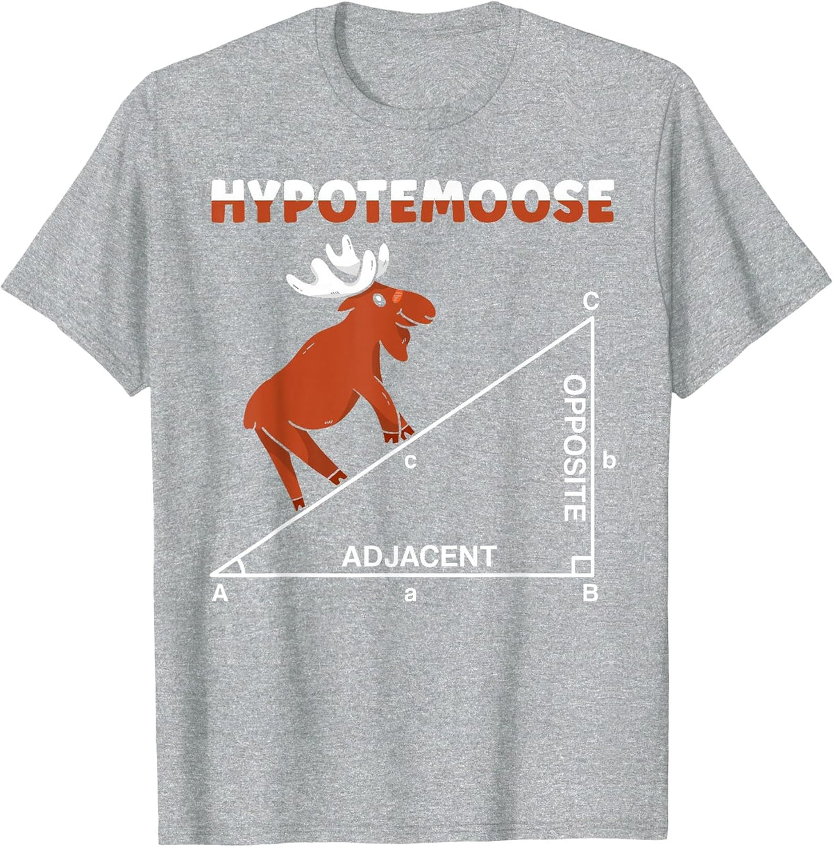 Hypotemoose Mathematics Teacher Mathematician Math Geek T-Shirt - Heather Grey