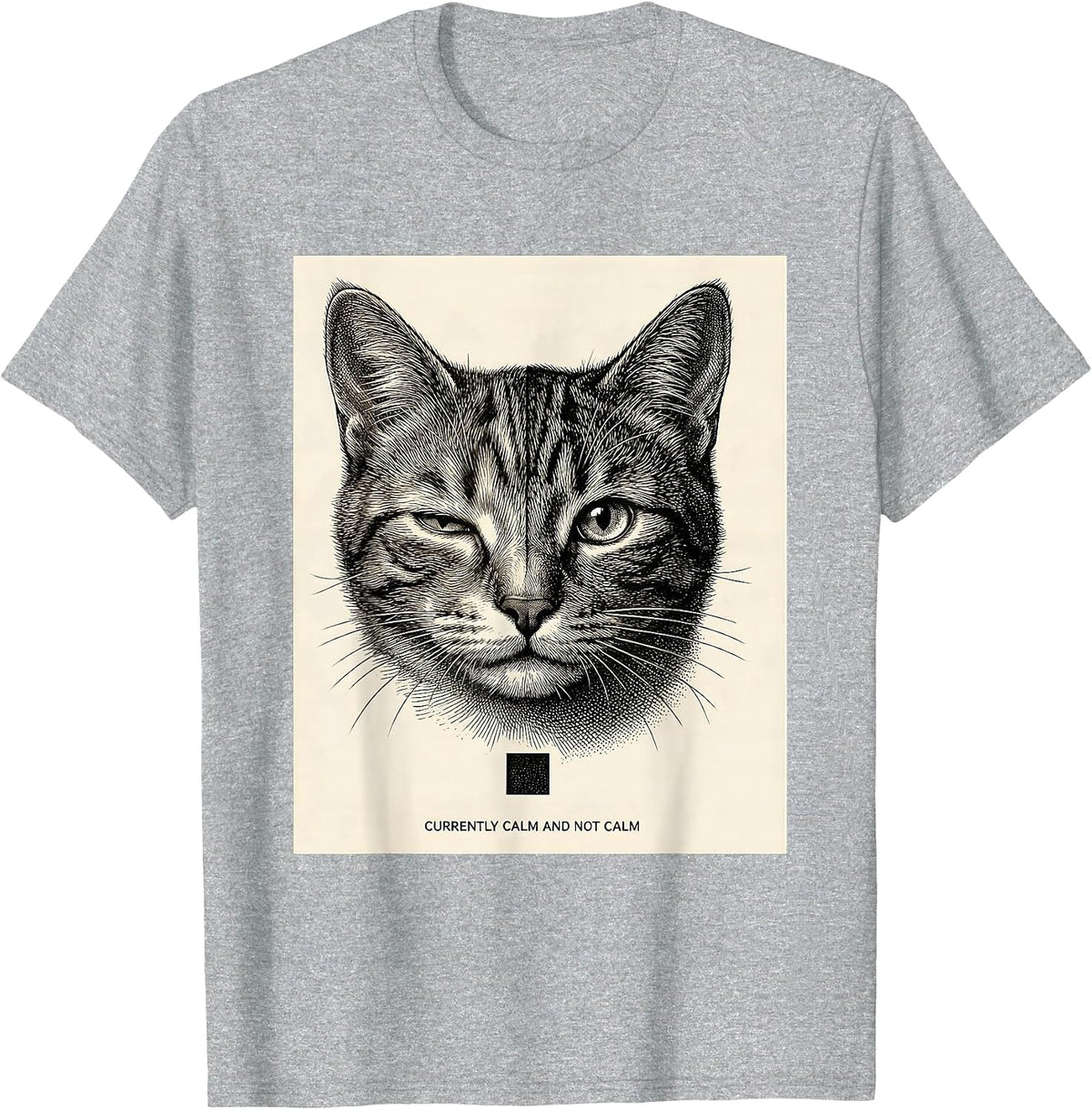 Men's Currently Calm And Not Calm Quantum Physics Humor Science T-Shirt - Heather Grey
