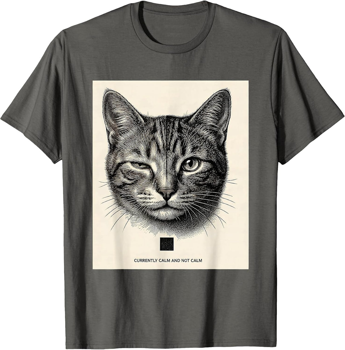 Men's Currently Calm And Not Calm Quantum Physics Humor Science T-Shirt - Asphalt Grey