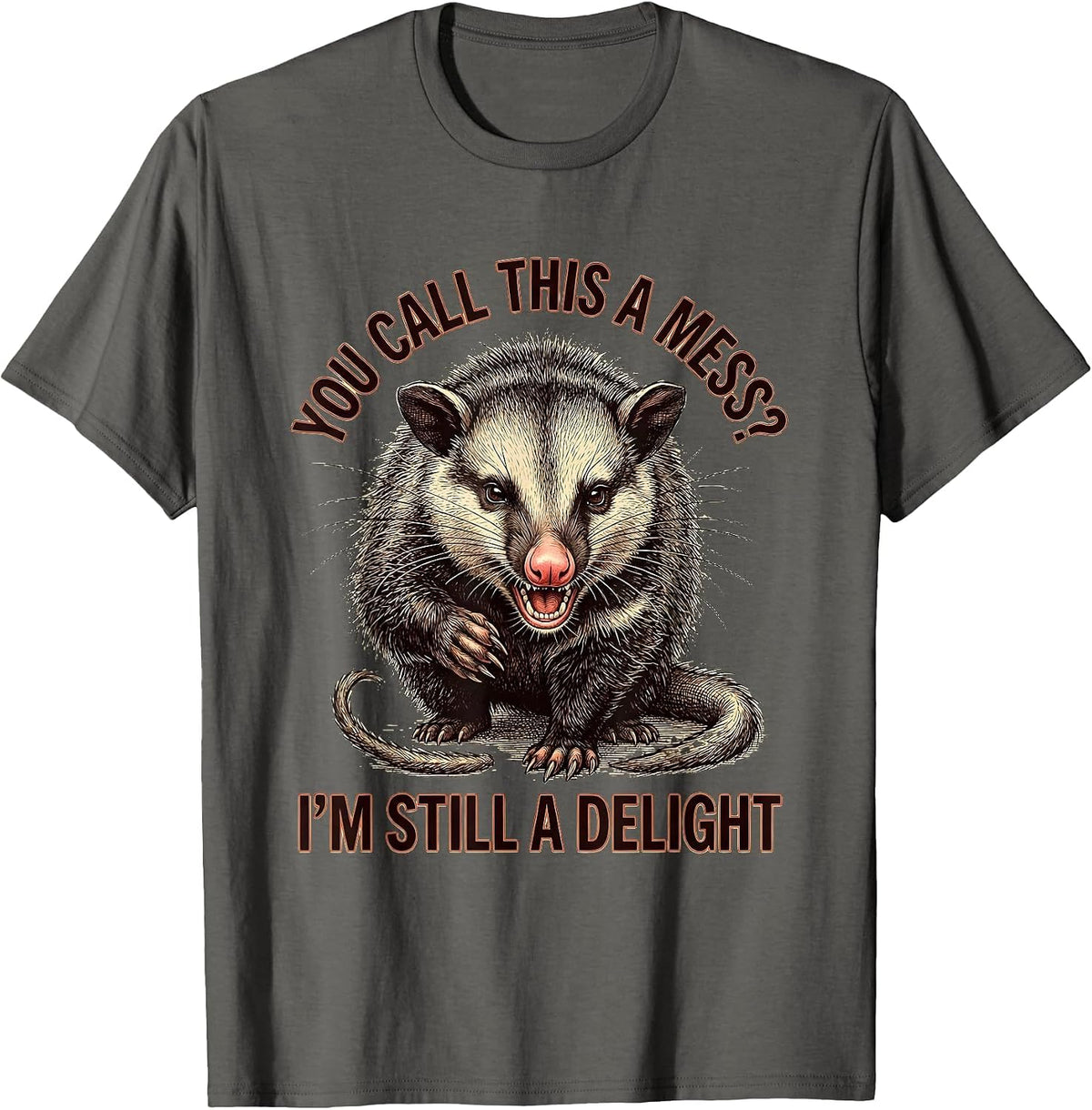 You Call This A Mess? I'm Still A Delight Funny Opossum T-Shirt - Asphalt Grey