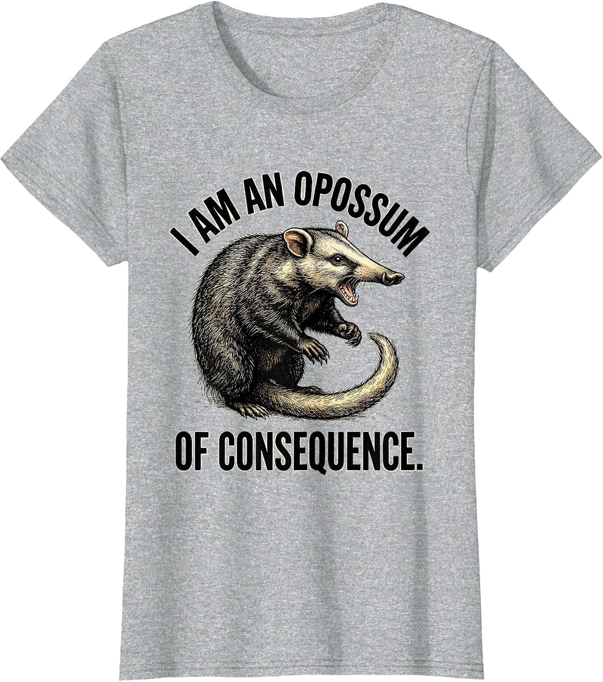 Women's I Am An Opossum Of Consequence Funny Opossum Trash Panda T-Shirt - Heather Grey