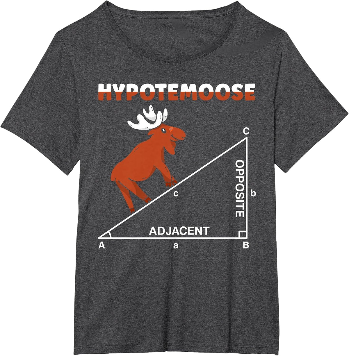Hypotemoose Mathematics Teacher Mathematician Math Geek T-Shirt - Dark Heather Grey