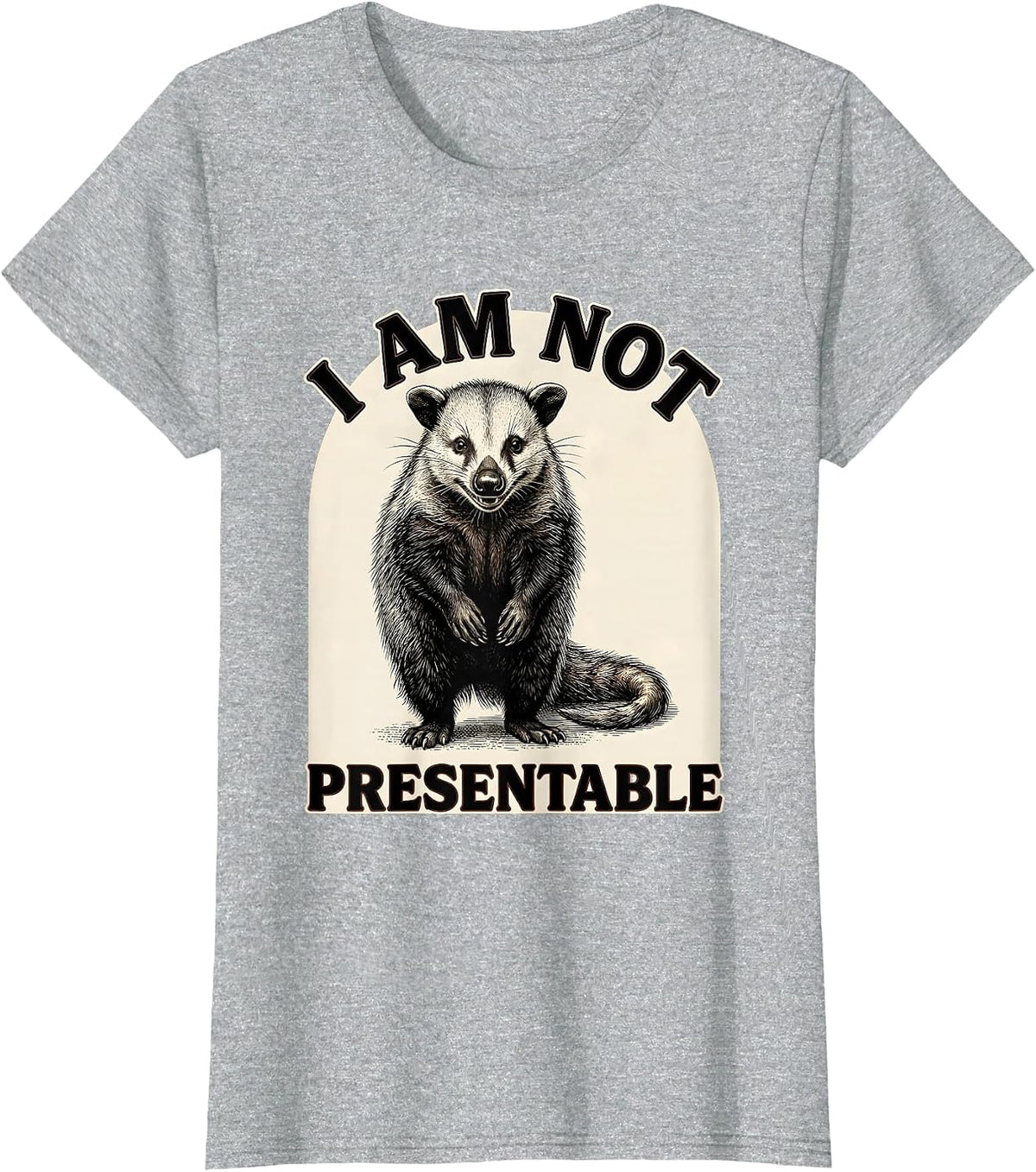 I Am Not Presentable Vintage Opossum Funny Animal Meme T-Shirt - Heather Grey