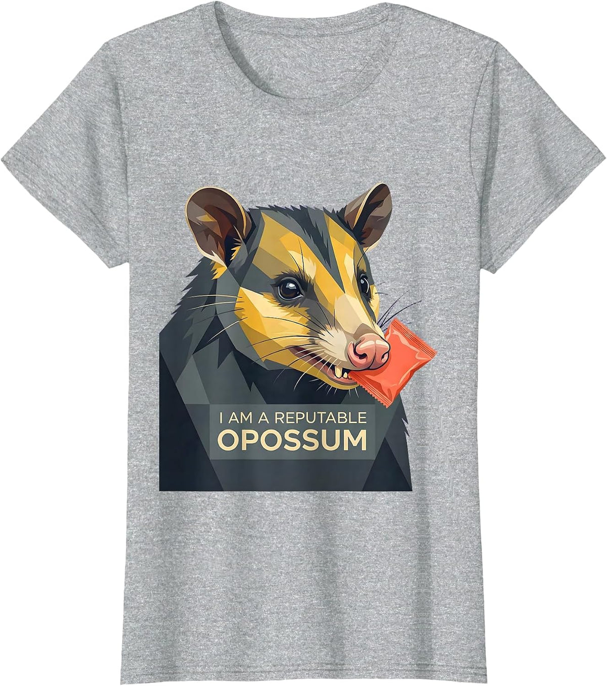 I Am A Reputable Opossum Funny Opossum Lover Meme Humor T-Shirt - Heather Grey