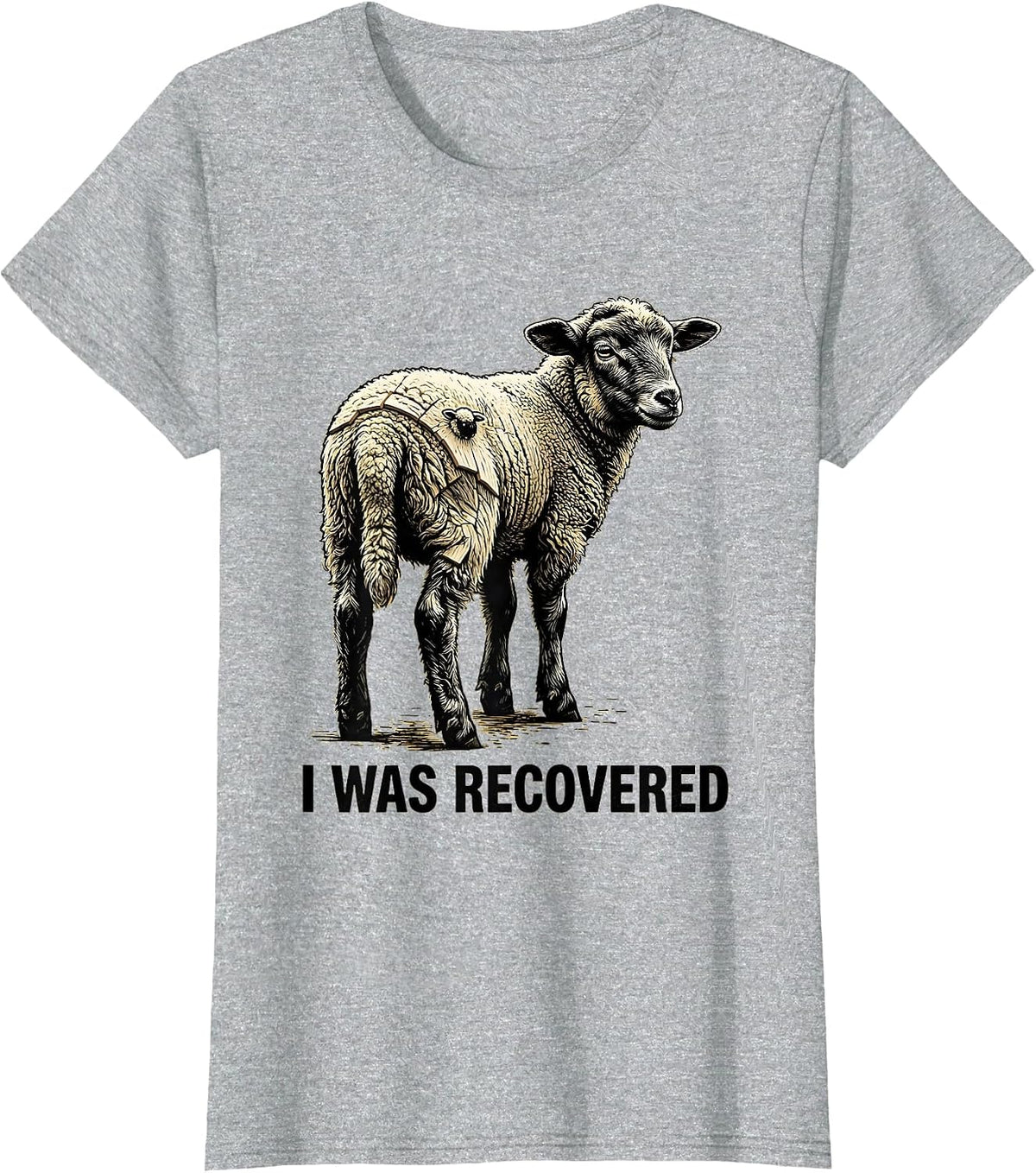 I Was Recovered Faith Psalm 23 Lost Sheep Minimalist T-Shirt - Heather Grey