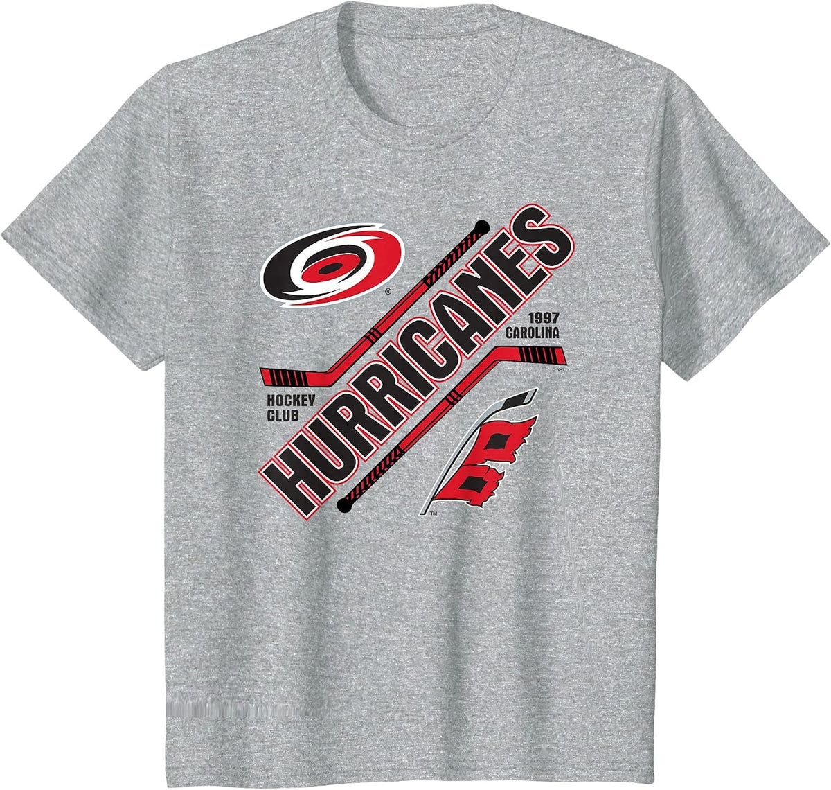 Carolina Hurricanes Force Heather Gray Officially Licensed T-Shirt - Heather Grey