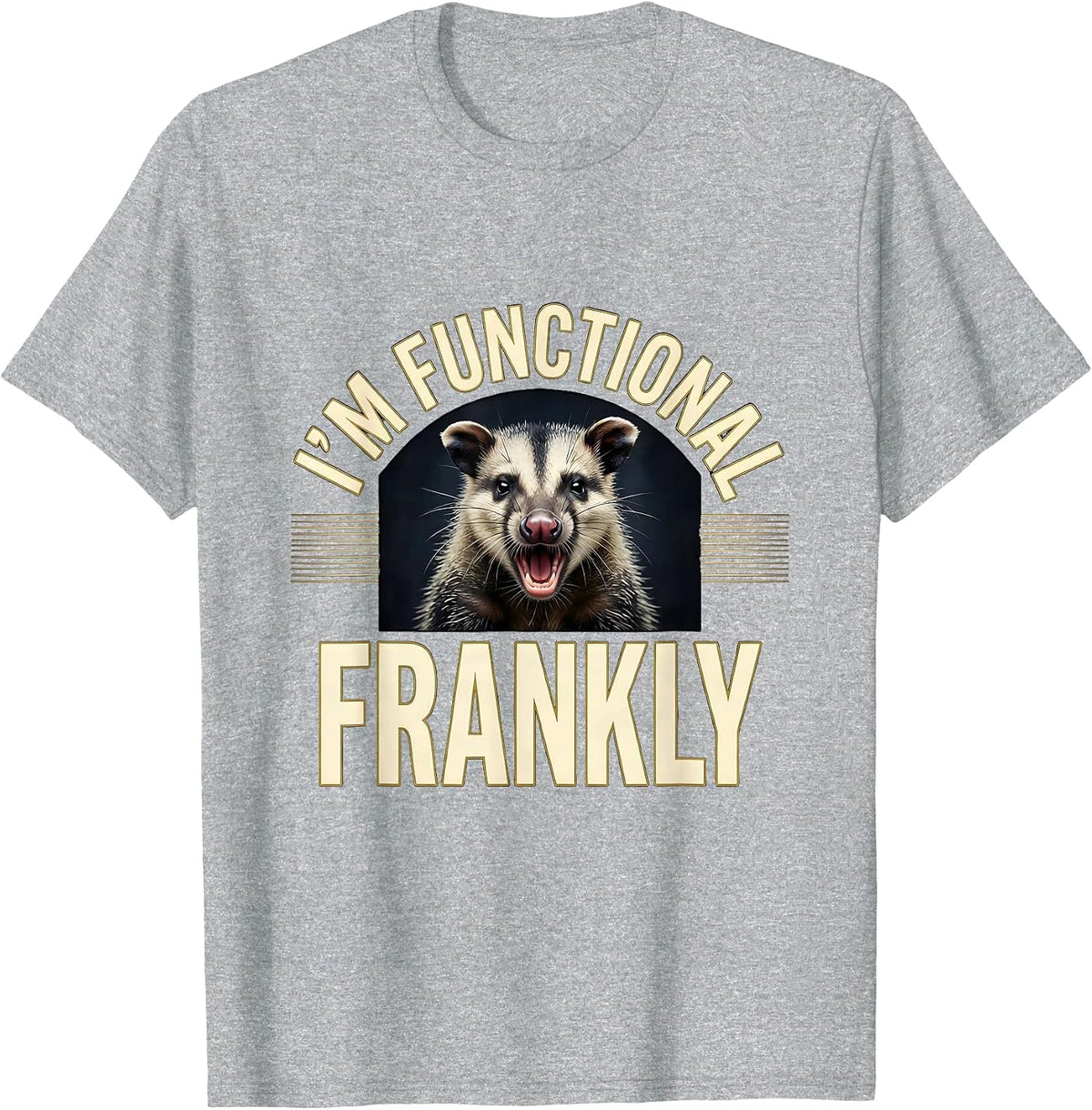 Men's I'm Functional, Frankly Funny Opossum Meme Wildlife Humor T-Shirt - Heather Grey