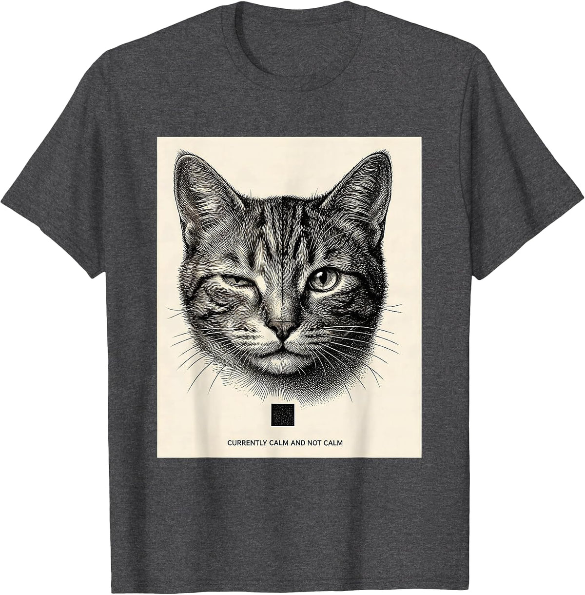 Men's Currently Calm And Not Calm Quantum Physics Humor Science T-Shirt - Dark Heather Grey