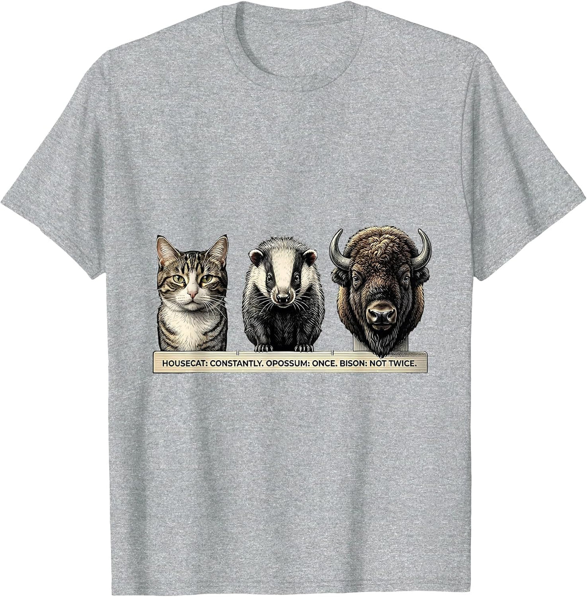 Men's Housecat: Constantly. Opossum: Once. Bison: Not Twice. T-Shirt - Heather Grey